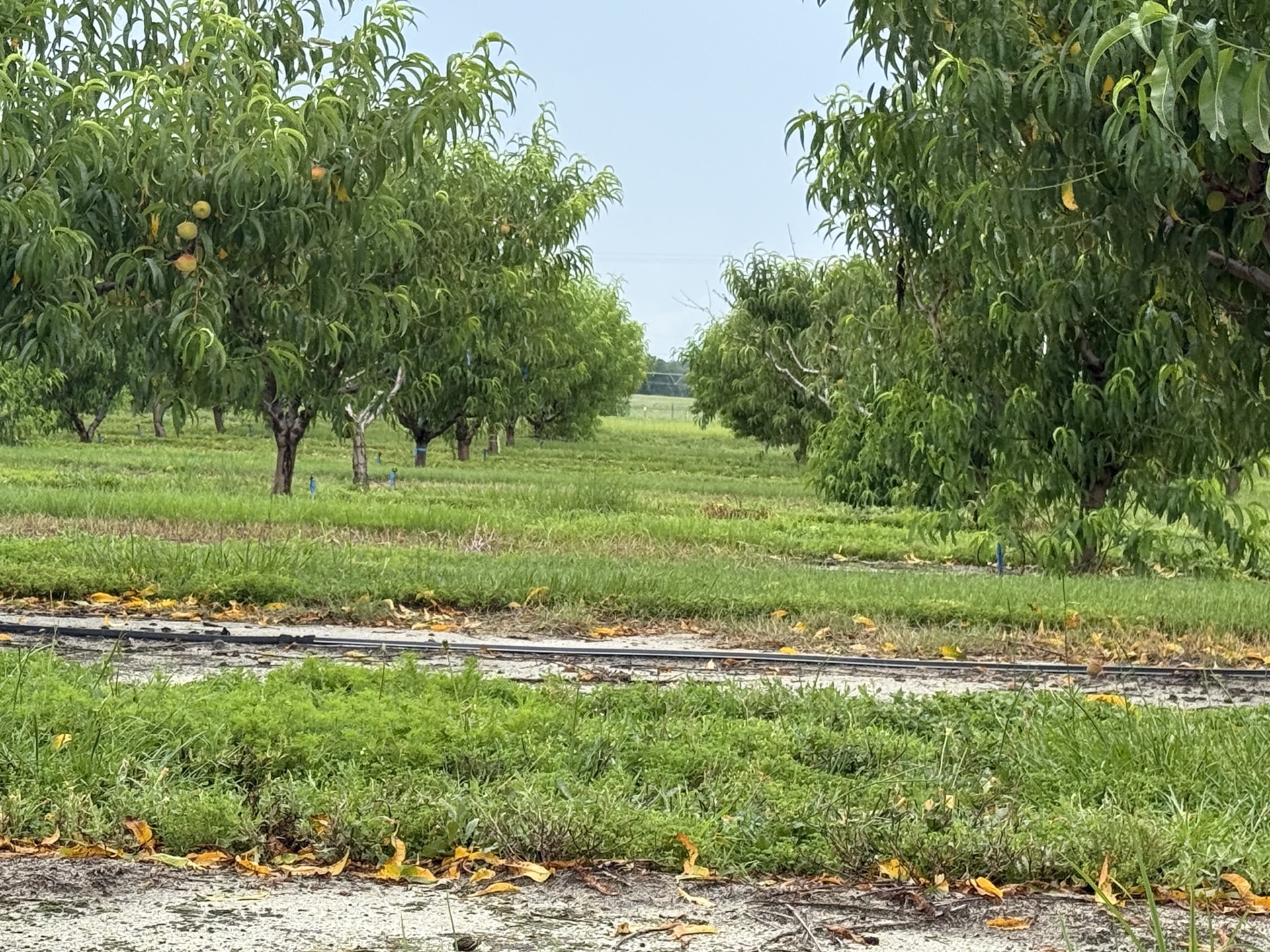 Field research photo 7