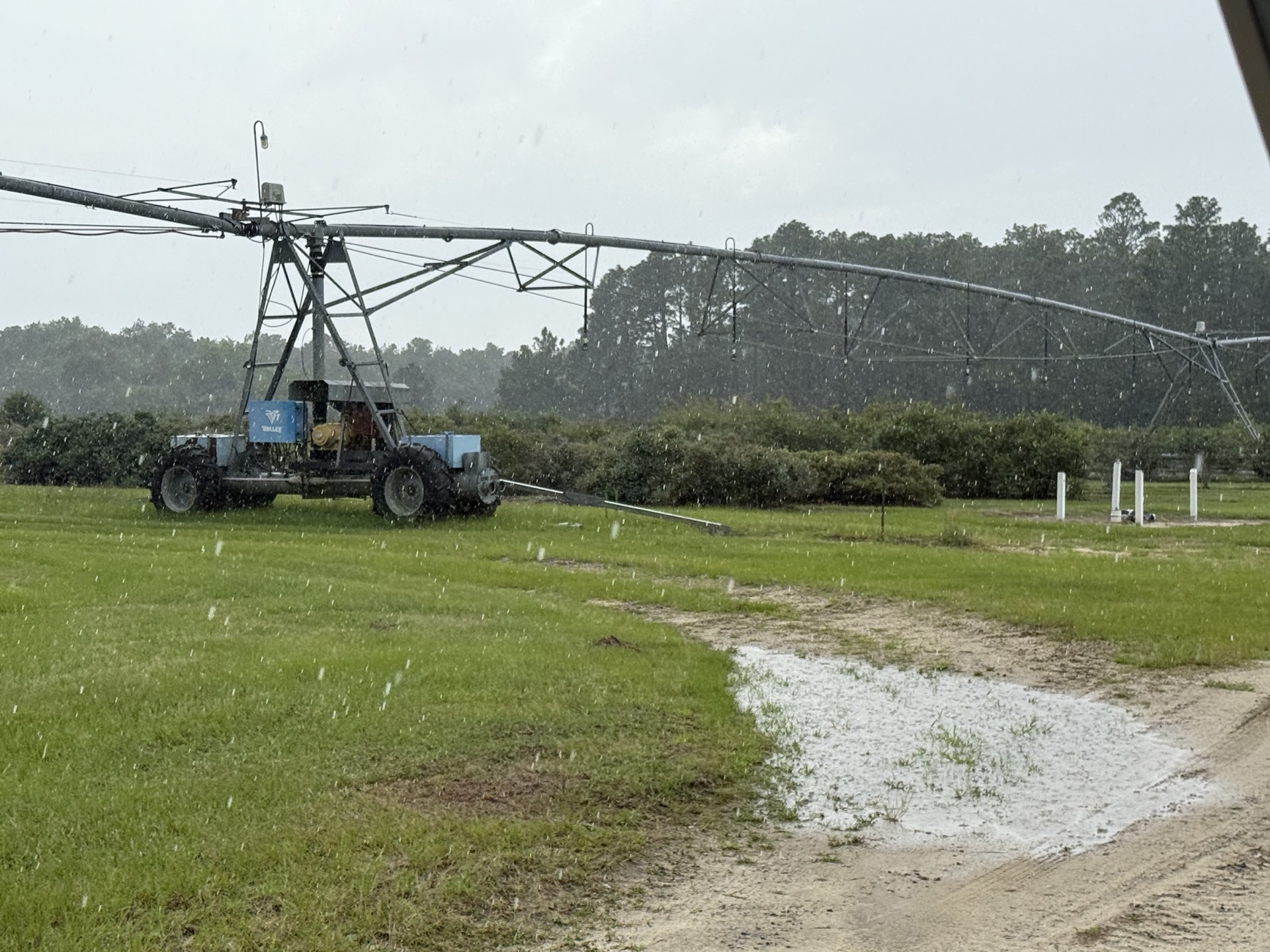 Field research photo 8