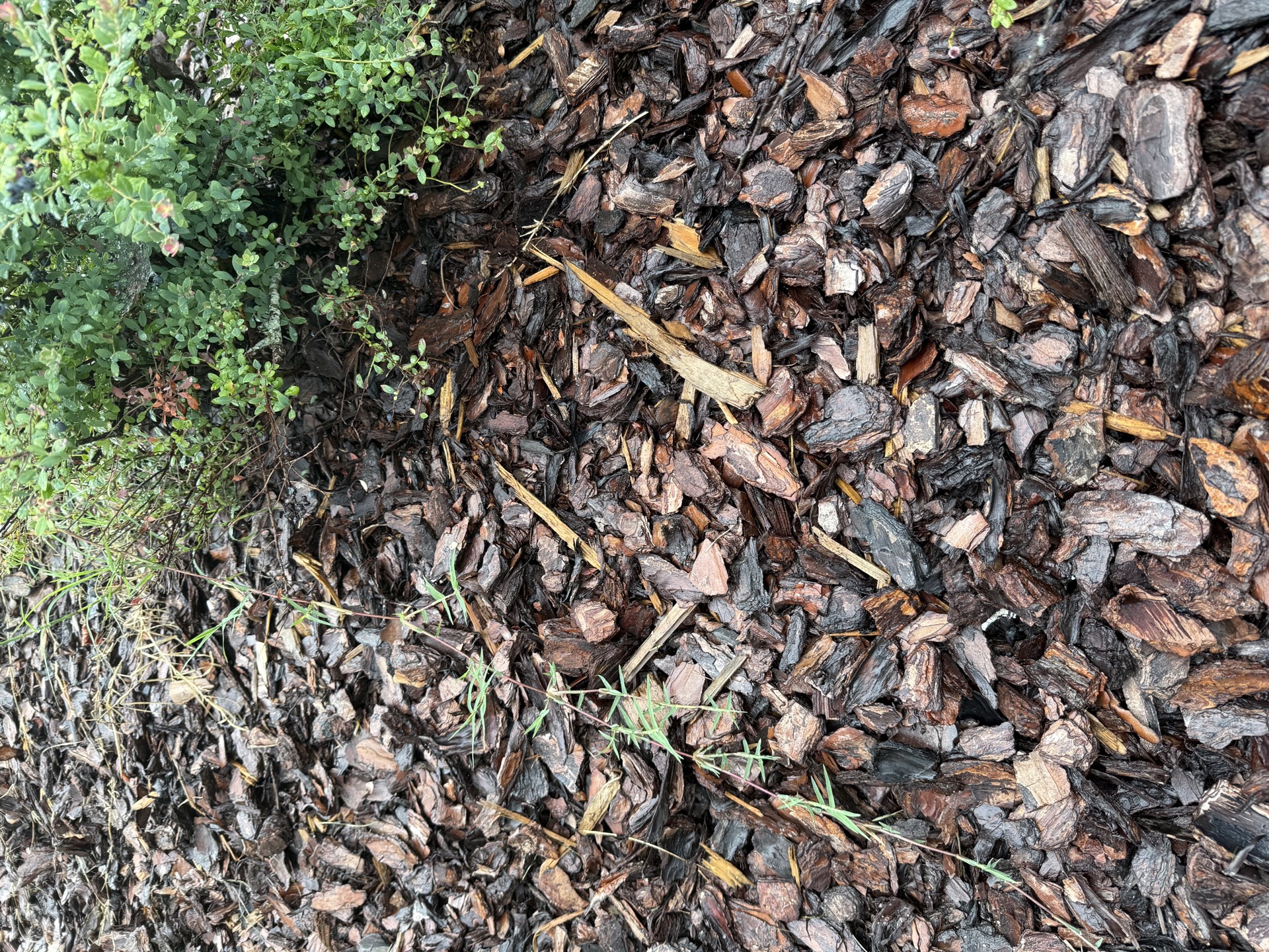 Field research photo 9