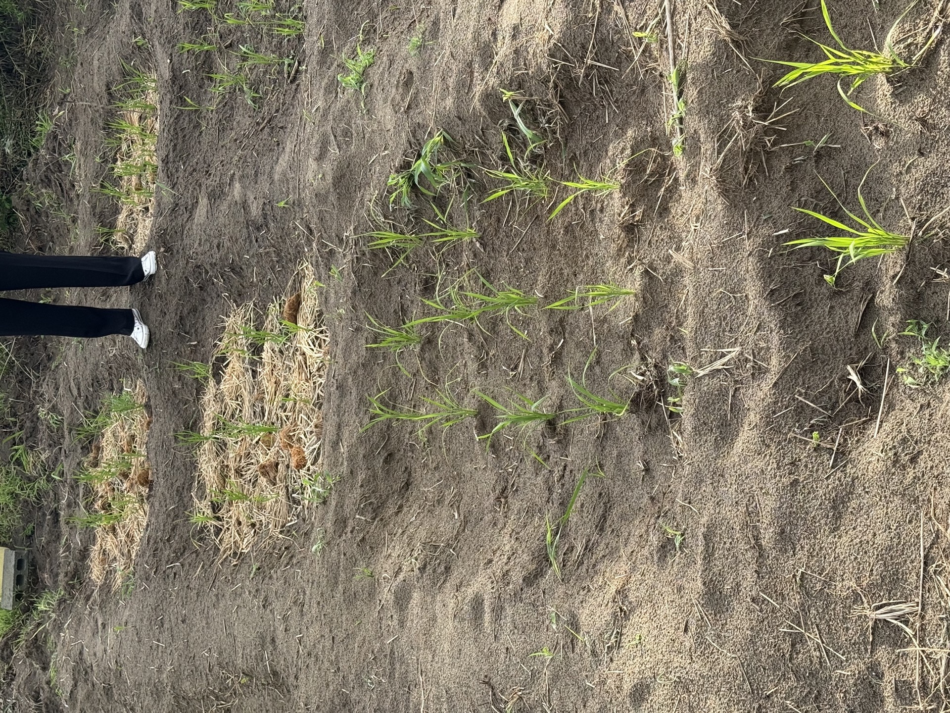 Field research photo 18