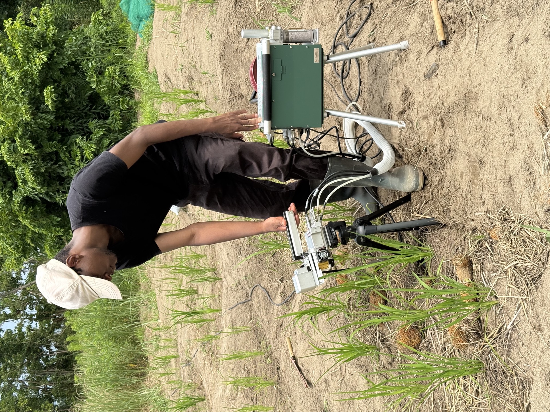 Field research photo 26