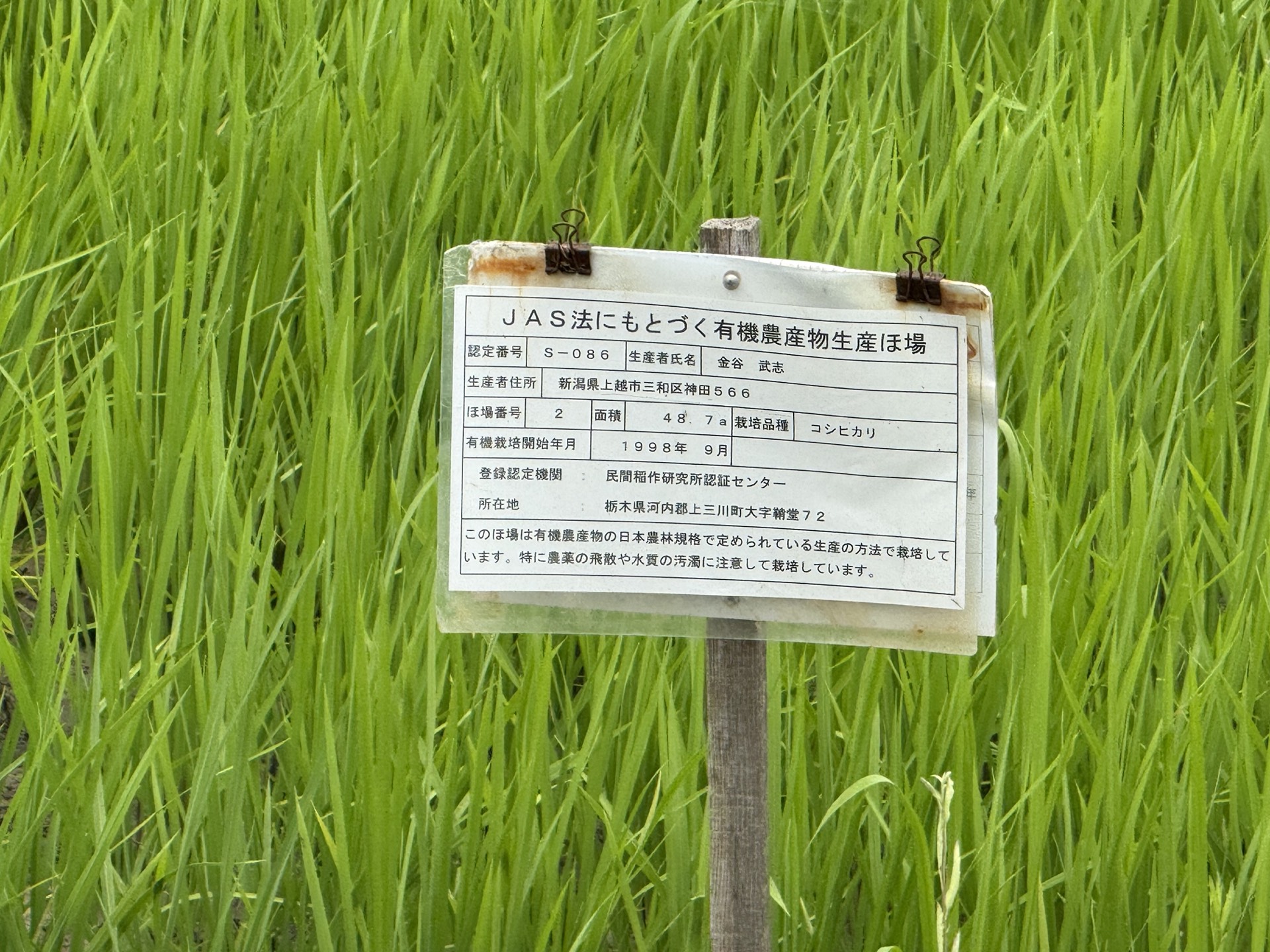 Field research photo 31