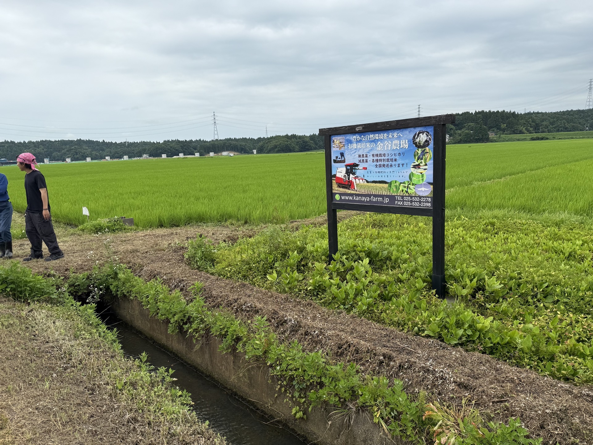 Field research photo 32