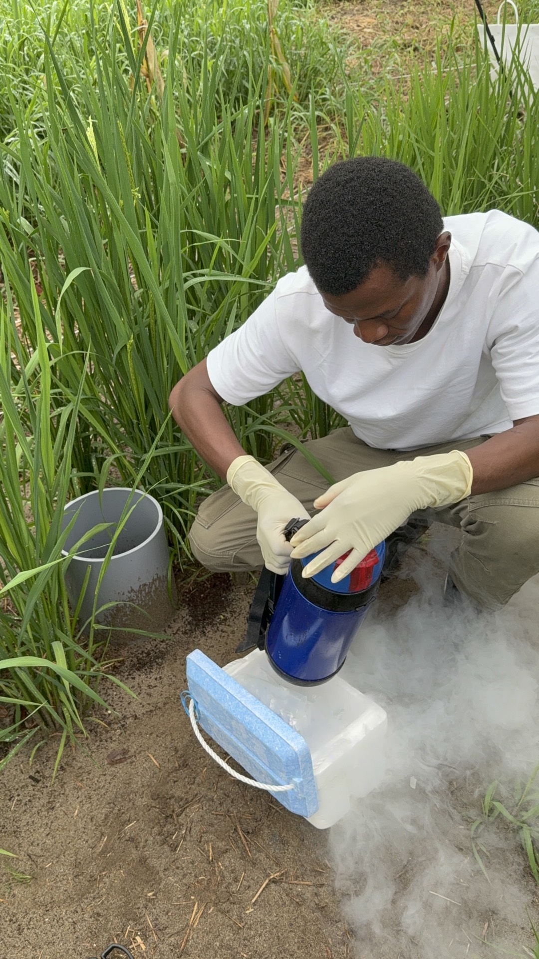 Field research photo 59