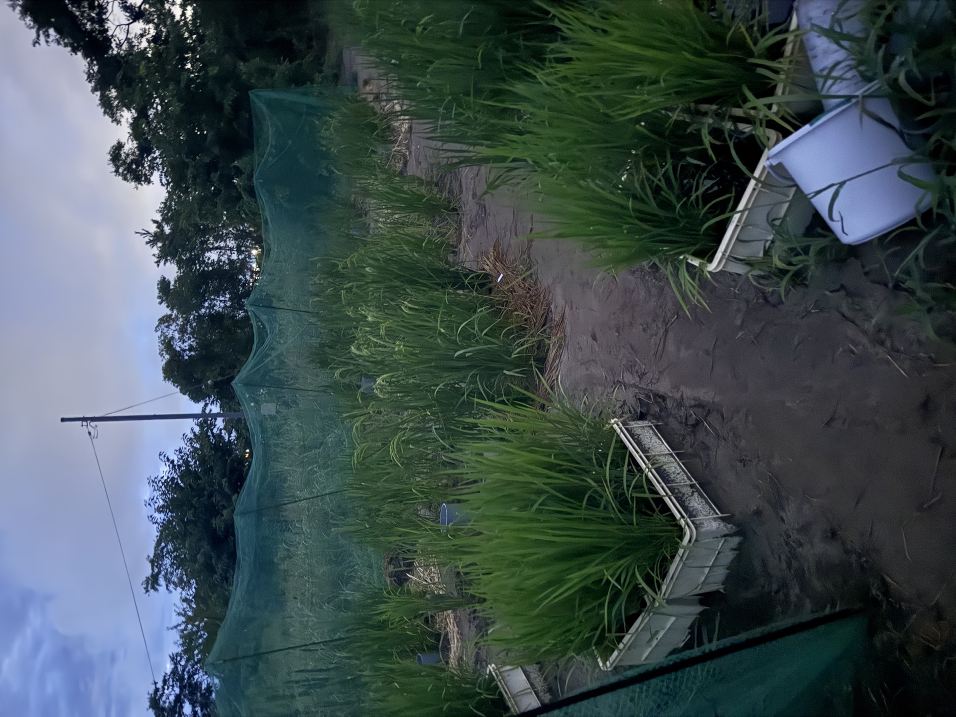 Field research photo 60