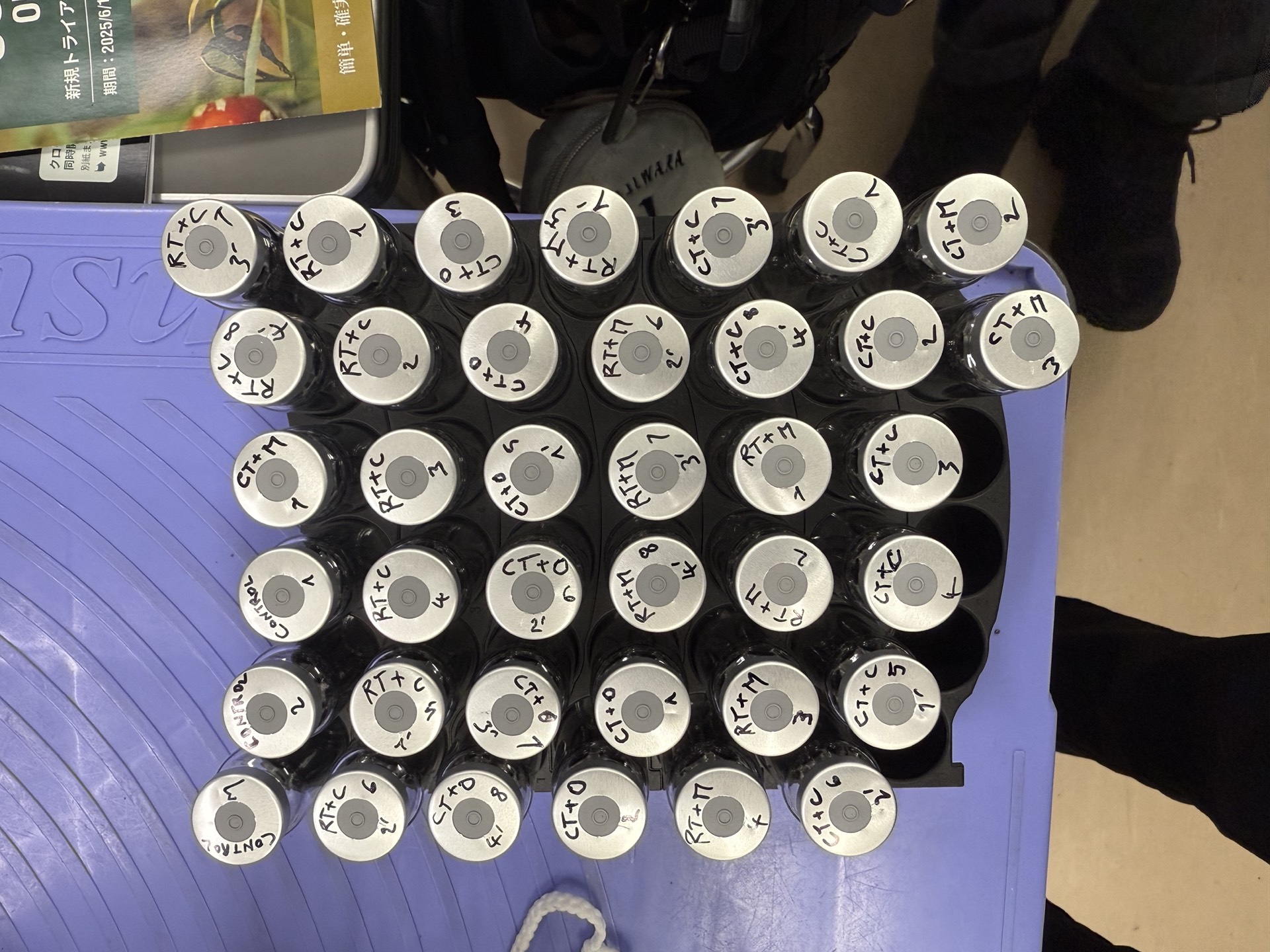 Field research photo 70